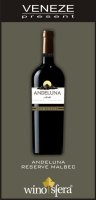 Andeluna Reserva Malbec  