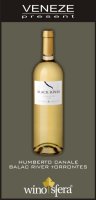 Black River Torrontes 